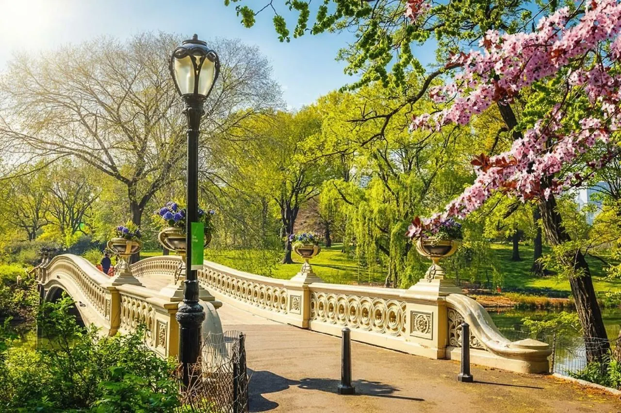 公寓 Frederick'S Place - Convenient Condo Walk To Central Park And Columbia University 纽约 美国